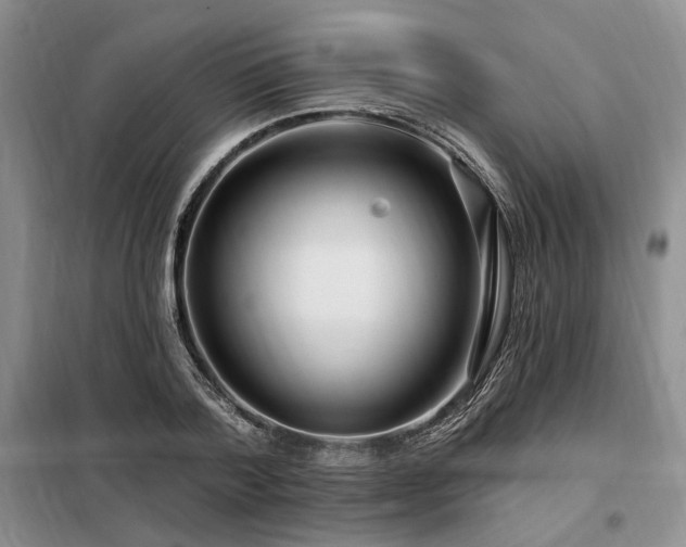 X0000098130788200804171520