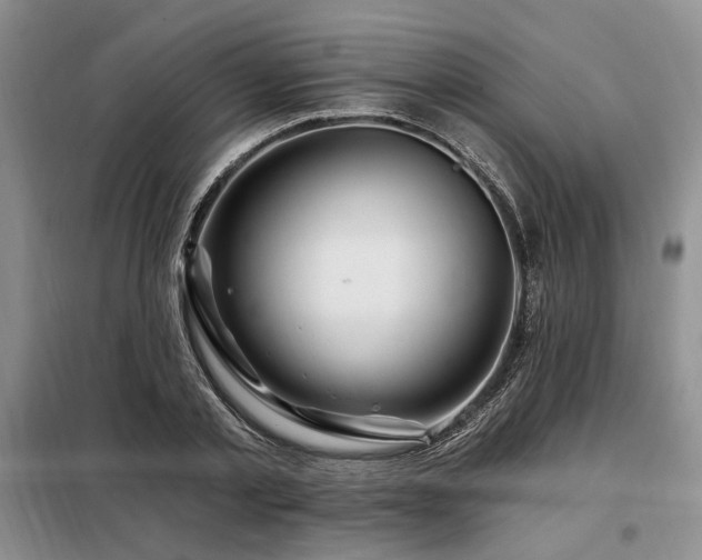 X0000098130789200804171520