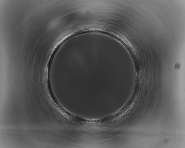 X0000098130790200804171520