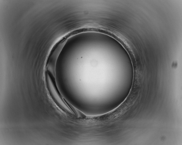 X0000098130791200804171520