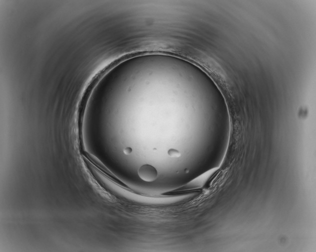 X0000098130792200804171520