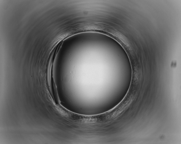 X0000098130793200804171520