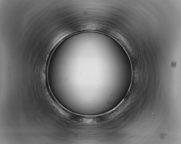 X0000098130794200804171520