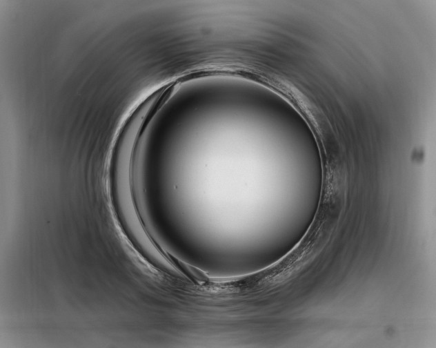 X0000098130795200804171520