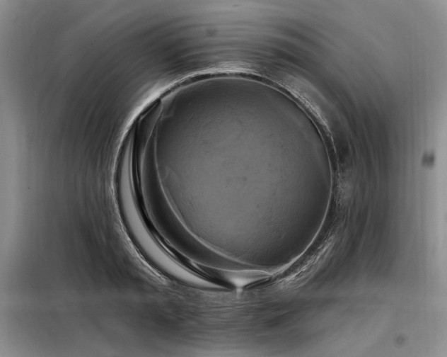 X0000098130797200804171520