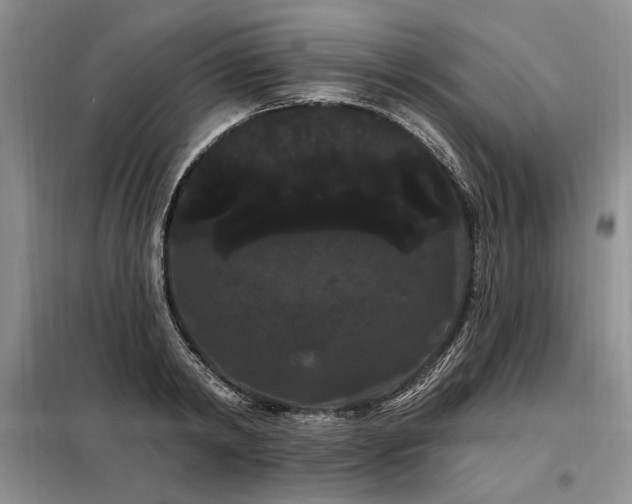 X0000098130798200804171520