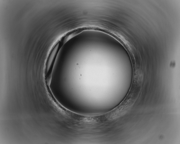 X0000098130799200804171520
