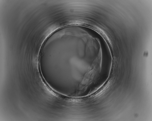 X0000098130802200804171520