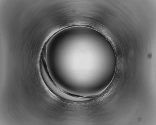 X0000098130803200804171520