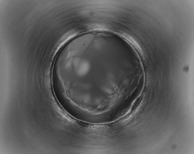 X0000098130806200804171520