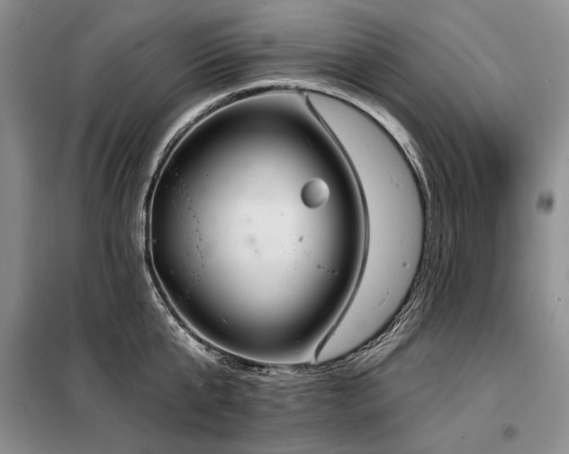 X0000098130807200804171520