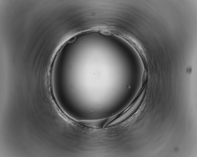 X0000098130808200804171520