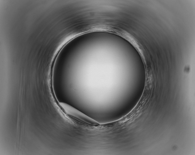 X0000098130811200804171520