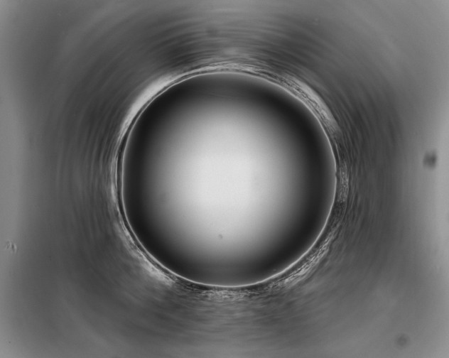 X0000098130812200804171520