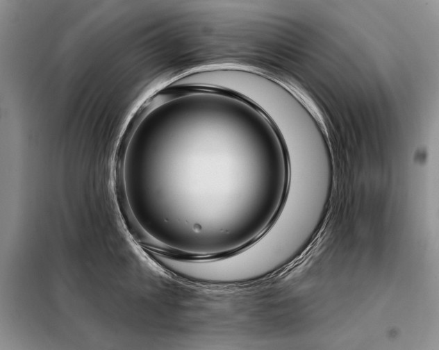X0000098130813200804171520