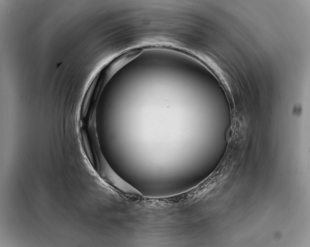 X0000098130815200804171520