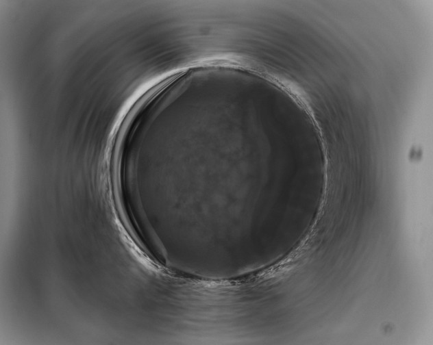 X0000098130816200804171519