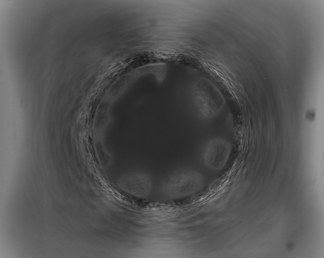 X0000098130817200804171519