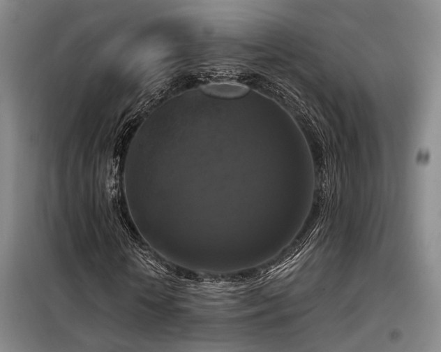 X0000098130818200804171519