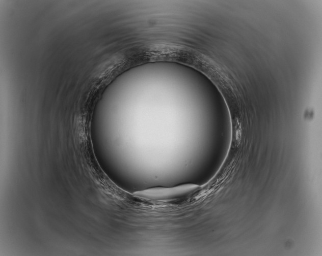 X0000098130819200804171519