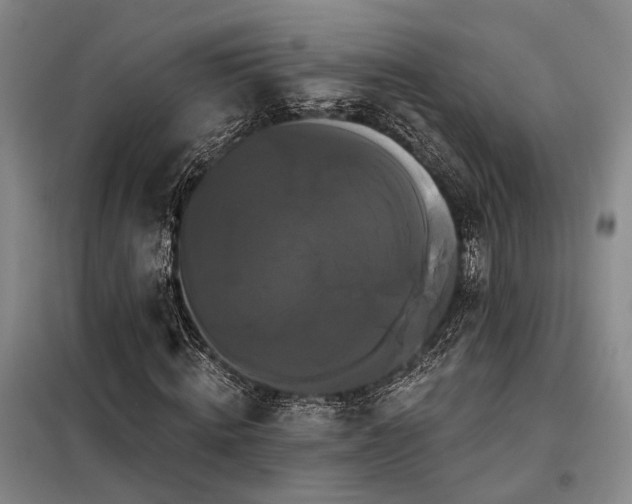 X0000098130820200804171519