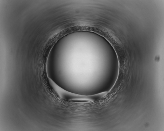 X0000098130821200804171519