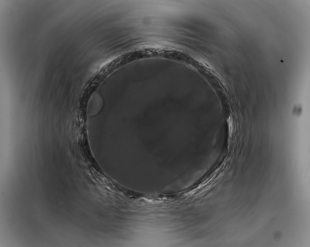 X0000098130822200804171519
