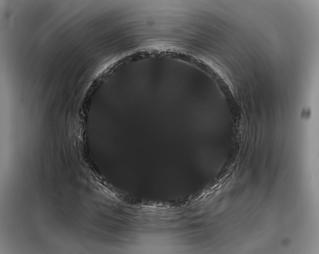 X0000098130823200804171519
