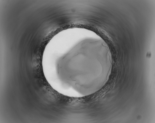 X0000098130824200804171519