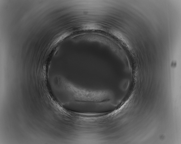 X0000098130825200804171519