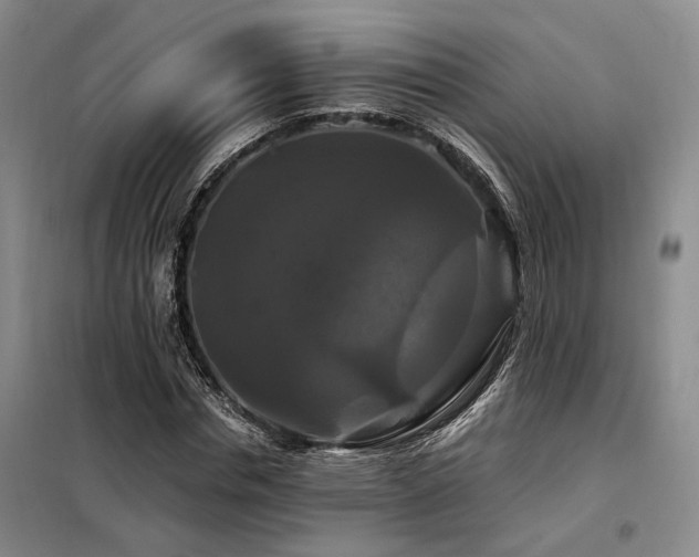 X0000098130826200804171519