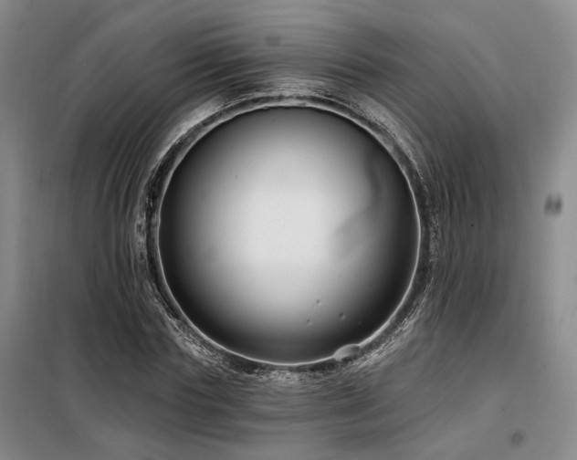 X0000098130827200804171519