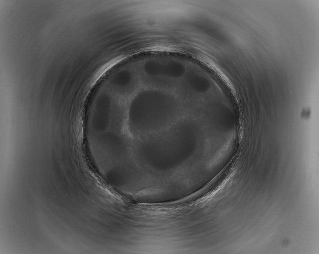 X0000098130829200804171519