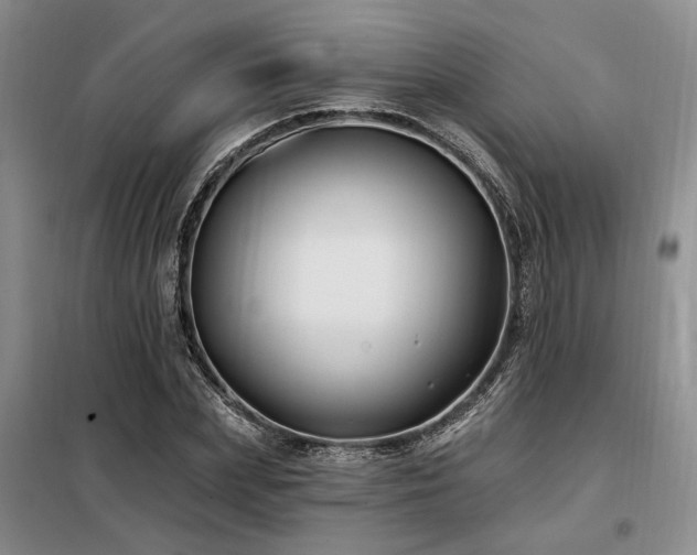 X0000098130831200804171519