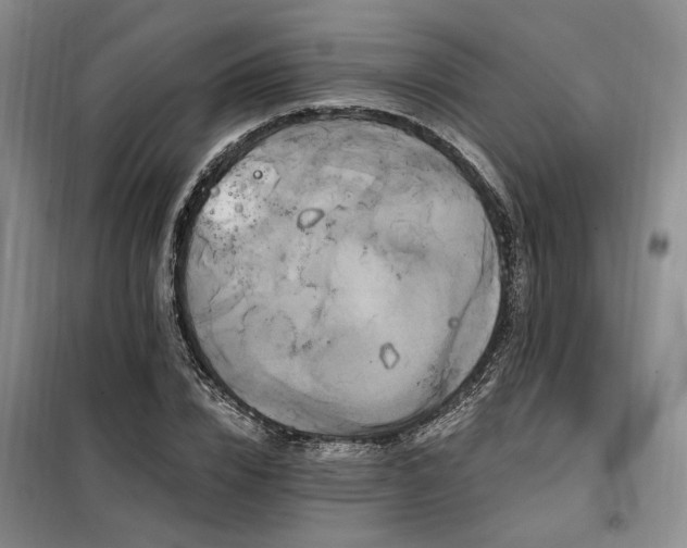 X0000098130832200804171519