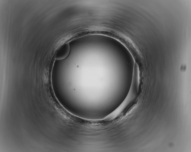 X0000098130833200804171519