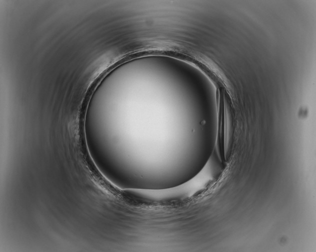 X0000098130834200804171519