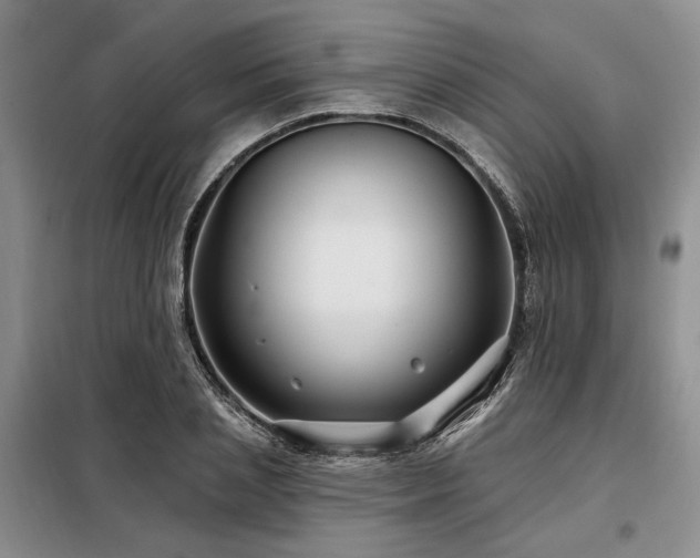 X0000098130837200804171519