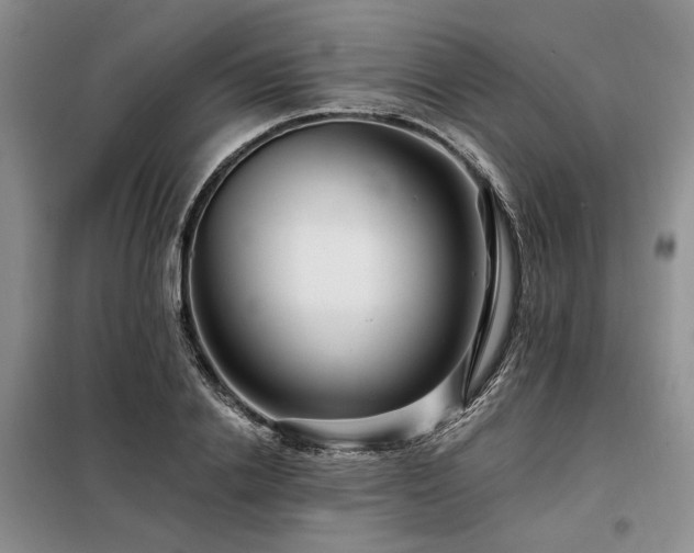 X0000098130838200804171519