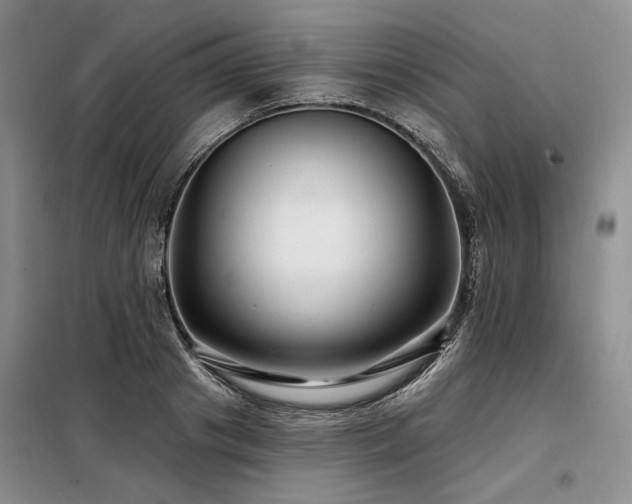 X0000098130841200804171519