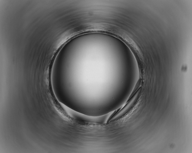 X0000098130842200804171519
