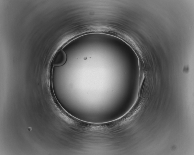 X0000098130843200804171519