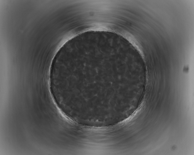 X0000098130845200804171519