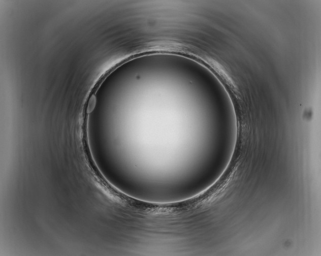 X0000098130846200804171519
