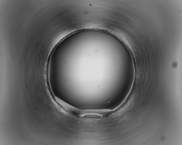 X0000098130847200804171519