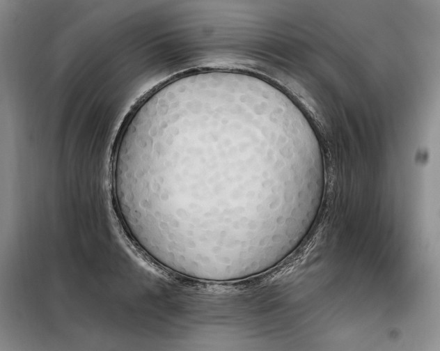 X0000098130848200804171519