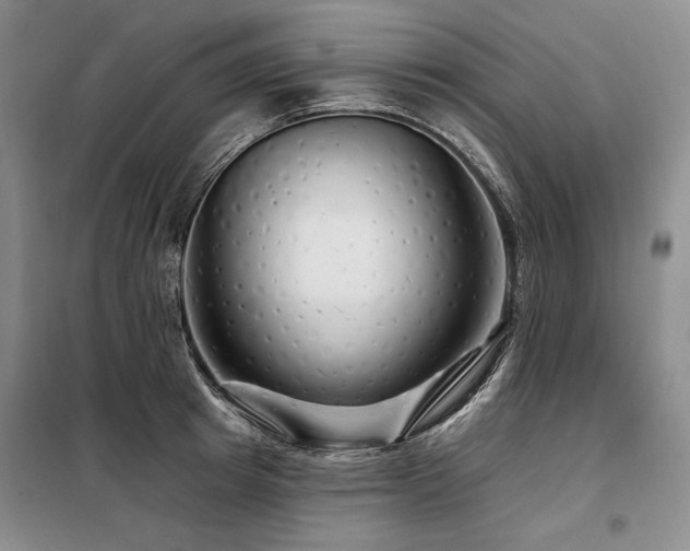 X0000098130849200804171519