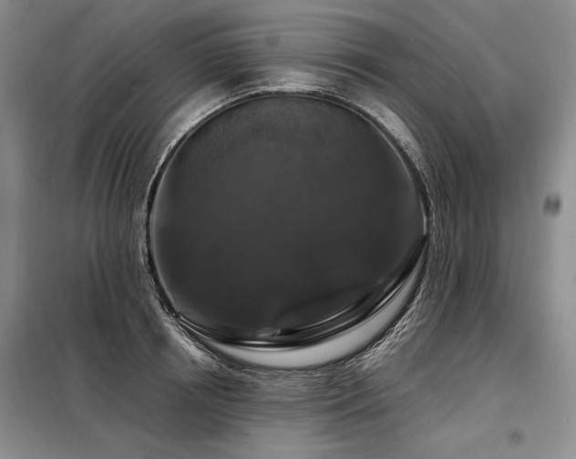 X0000098130850200804171519
