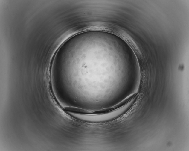 X0000098130852200804171519