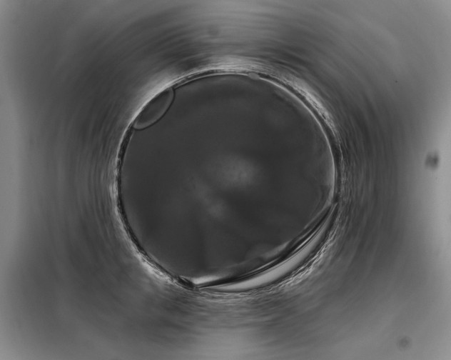 X0000098130853200804171519